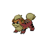 Dark Growlithe